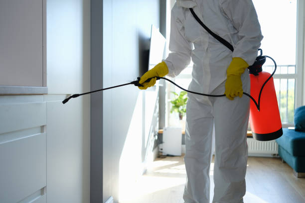 Nuevo, CA Mold Removal Company